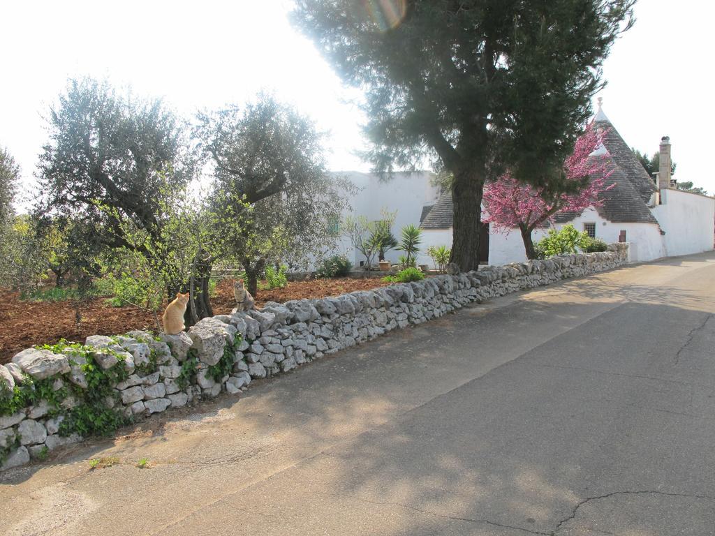 فيلا Casa Mario تْشيستيرنِنو الغرفة الصورة